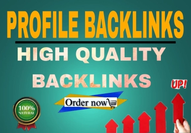 I will create 40 pr9 backlinks for your website ranking