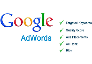 I Will Be Your Google Ad Sense Manager