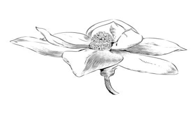 I am professional designer and I will make coloring sketchbooks and notebook for you