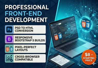 Professional Front-End Web Developer
