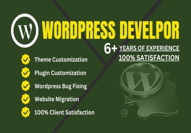 I will fix wordpress error,  php errors,  issues and customization