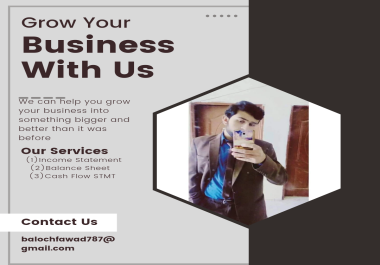 I can Prepare Balancesheet, Income Statement or Cash flow Statement