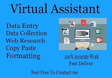 I will be your VIRTUAL ASSISTANT for Excel Data Entry,  Web Research,  Copy and Paste