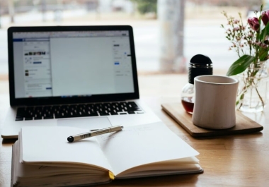 I will write 500 words SEO article & blogs