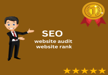 I will provide an SEO audit and plan to improve your website rank