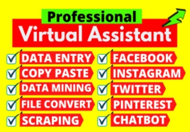 I will be your virtual assistant for excel data entry,  copy paste and web research