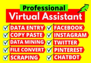 I will be your virtual assistant for excel data entry,  copy paste and web research