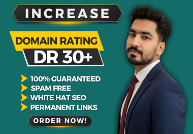 I Will Increase Ahrefs Domain Rating DR 30+