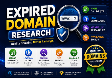 I Will Research and Provide One Expire Domain for SEO Growth