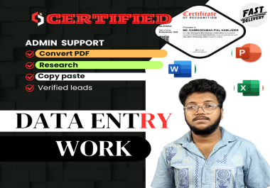 I will any type of data entry,  PDF to excel,  copy paste fast in 12 hours