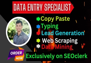I will do accurate data entry copy paste web research and virtual assistant Expert.