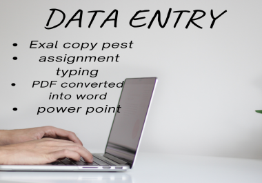 I will do professional data entry pdf converting word assignment PowerPoint and typing work