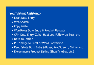 excel data entry,  copy paste,  web research