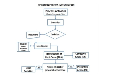 I will develop SOP,  Flow Diagram,  Policies,  Manuals,  and Procedures