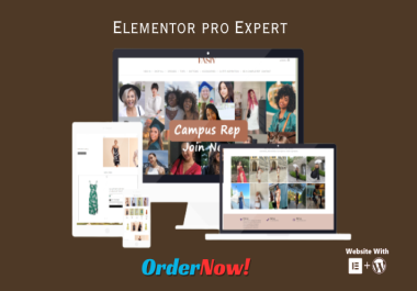 wordpress website design,  website redesign,  elementor