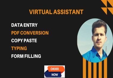 I will do data entry,  Typing,  copy paste