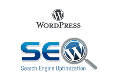 WordPress developer,  Website Building,  SEO,  ON-Page,  OFF-Page,  Technical SEO
