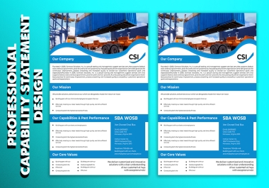 Professional,  Creative,  Expert,  and government capability statement design