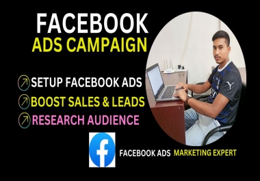 I will be your Facebook & Instagram ads campaign manager