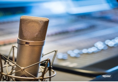 Elevate Your Project with Professional Voice Over Magic