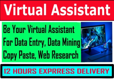 your virtual assistant for data entry,  typing,  copy paste