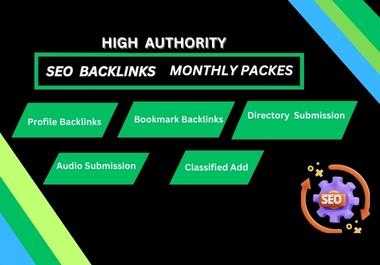 Monthly SEO Package With High-Quality Backlinks