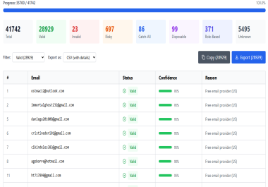 I will validate your leads. csv or. txt