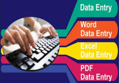 Data entry,  copy paste,  excel data entry,  PDF to Word