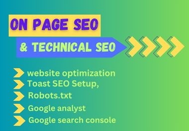 I will optimize website with expert wordpress on page and technical SEO