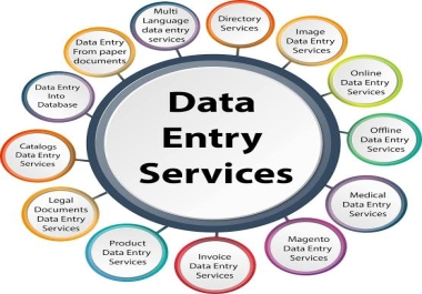 Data Entry expert and clear work with my expert team
