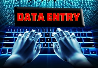 We create fast data entry in short time