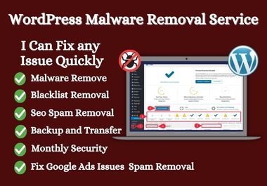 I Will do hacked WordPress malware removal and WordPress security