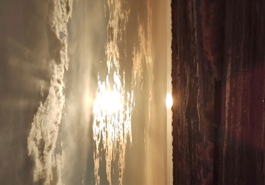 Tik toc designer for your business or personal needs