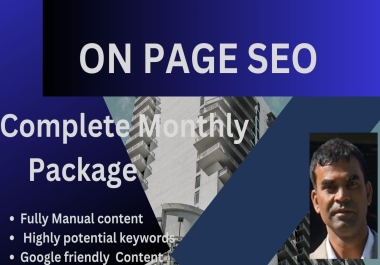 I will do monthly seo to rank website in google