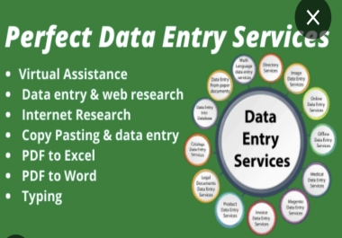 I am data entry expert and I have experience in data entry