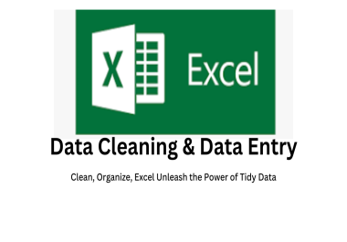 Expert MS Excel,  Spreadsheet Data Cleaning Service