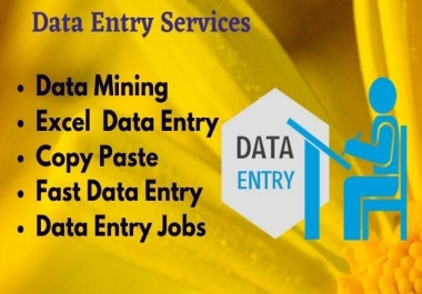 I am a professional data entry service provider