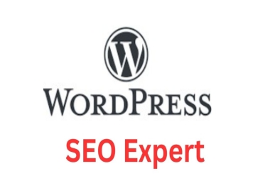 complete monthly wordpress onpage offpage seo services for top rank