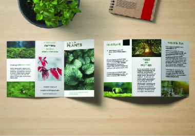 I will design professional bi-fold,  tri-fold brochure
