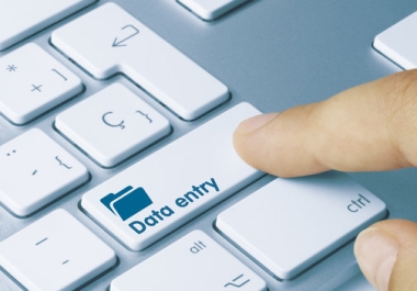 I am a Professional Data Entry Operator with accurate and fastest service