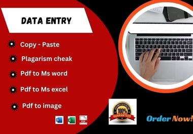 I will do data entry work on 2 hour with high quality.