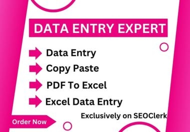 I will do Data Entry work in 4 hours with best quality