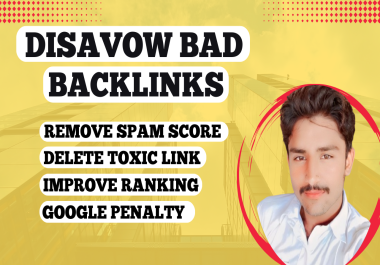 I will disavow bad backlinks and remove spam score of your website