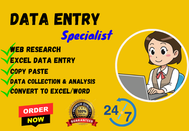 I will complete all types of data entry in Excel sheets,  including paste copies and data collected