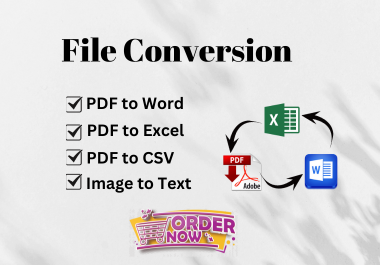 I will convert PDF TO Word,  PDF to CSV,  PDF to Excel and Any kind of conversion