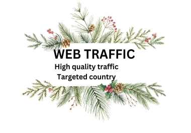 I will send you 400-500 web traffic per day from USA