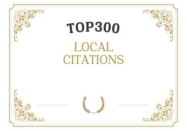 I will do 300 USA local citations and directory site listing.