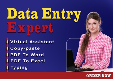 I will do a virtual assistant for data entry,  data mining,  copy-paste,  and writing service