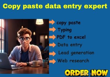 I will do proper copy-paste,  excel data entry,  and data cleaning
