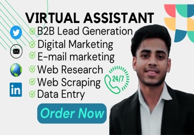 I will do data entry,  mining,  web research,  Lead Generation,  and Excel data entry jobs.
